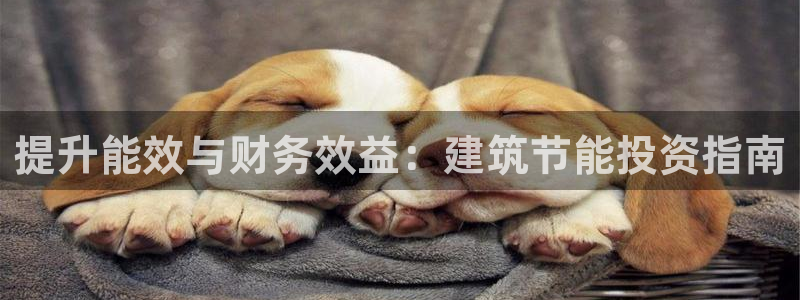 e尊国际官方网站：提升能效与财务效益：建筑节能投资指南