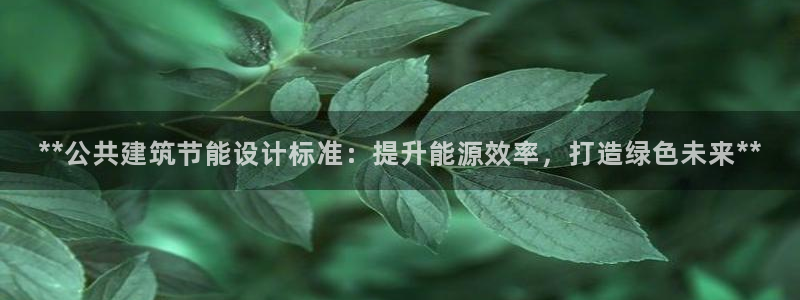 e尊国际娱乐官网地址：**公共建筑节能设计标准：提升能源效率，打造绿色未来**