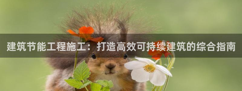 e尊国际客户端：建筑节能工程施工：打造高效可持续建筑的综合指南