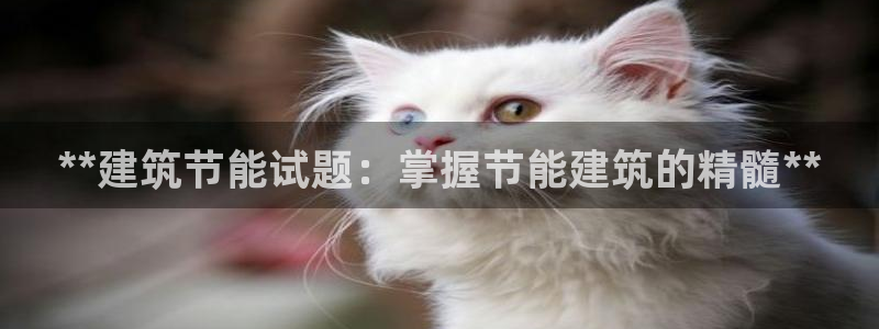 e尊国际是干什么的：**建筑节能试题：掌握节能建筑的精髓**
