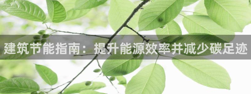 e尊国际平台：建筑节能指南：提升能源效率并减少碳足迹