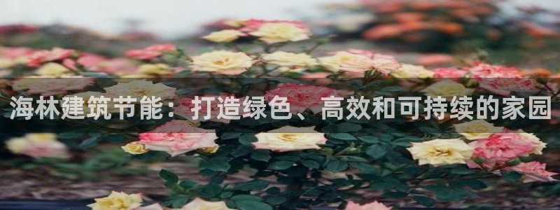 e尊国际的手机登录网站：海林建筑节能：打造绿色、高效和可持续的家园