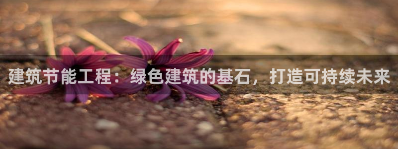 谁知道e尊国际的网址：建筑节能工程：绿色建筑的基石，打造可持续未来