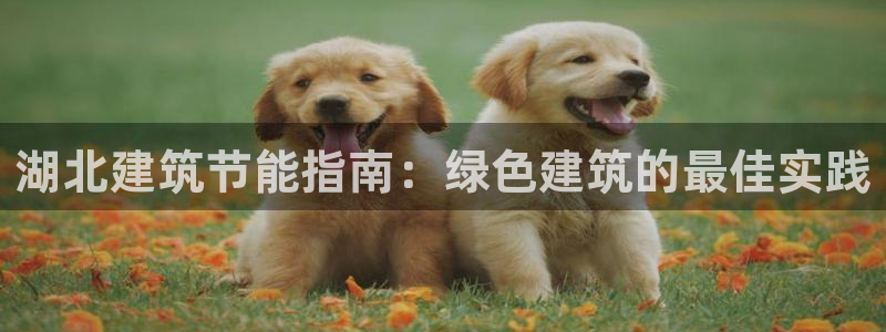e尊国际客服：湖北建筑节能指南：绿色建筑的最佳实践