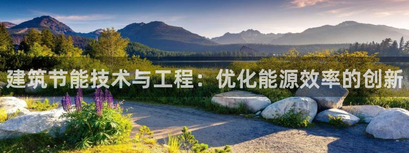e尊国际的手机登录网站：建筑节能技术与工程：优化能源效率的创新