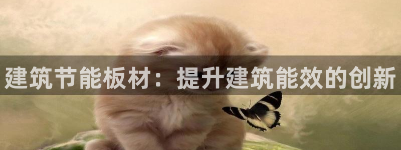 e尊平台：建筑节能板材：提升建筑能效的创新