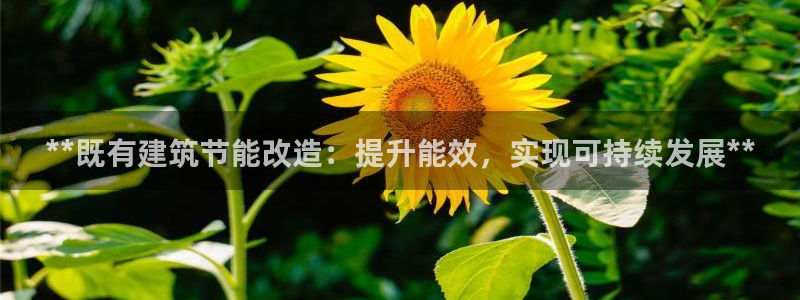 e尊国际是干什么的：**既有建筑节能改造：提升能效，实现可持续发展**