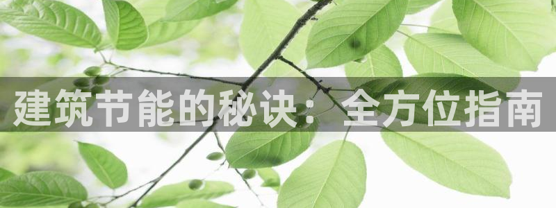 e尊国际客服：建筑节能的秘诀：全方位指南