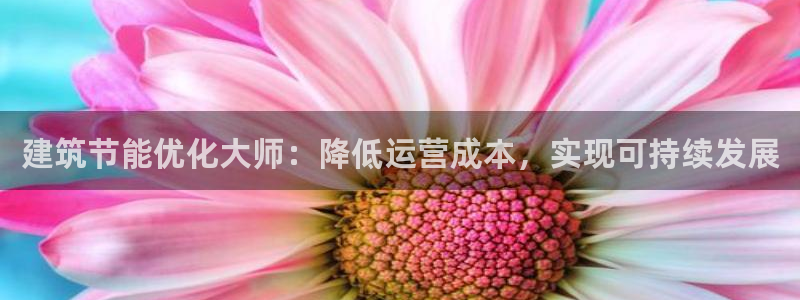 e尊国际客户端：建筑节能优化大师：降低运营成本，实现可持续发展