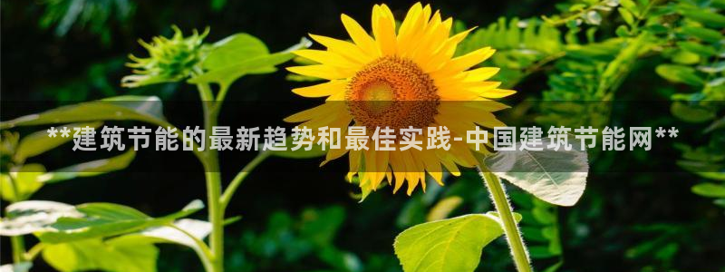 e尊国际客服：**建筑节能的最新趋势和最佳实践-中国建筑节能网**