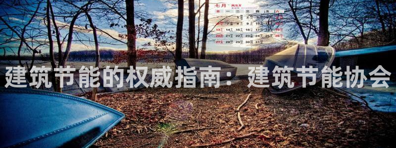 谁知道e尊国际的网址：建筑节能的权威指南：建筑节能协会