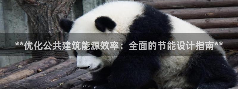 e尊国际网址：**优化公共建筑能源效率：全面的节能设计指南**