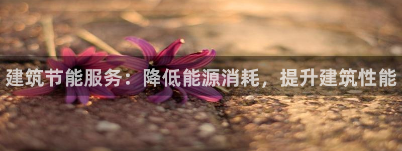 e尊国际网址：建筑节能服务：降低能源消耗，提升建筑性能