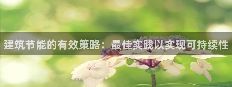 e尊国际官方网站：建筑节能的有效策略：最佳实践以实现可持续性