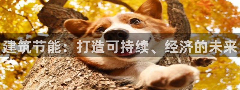 e尊国际平台：建筑节能：打造可持续、经济的未来