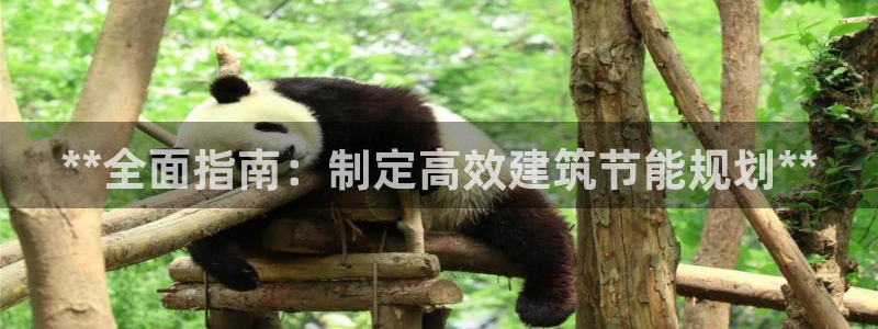 E尊国际：**全面指南：制定高效建筑节能规划**