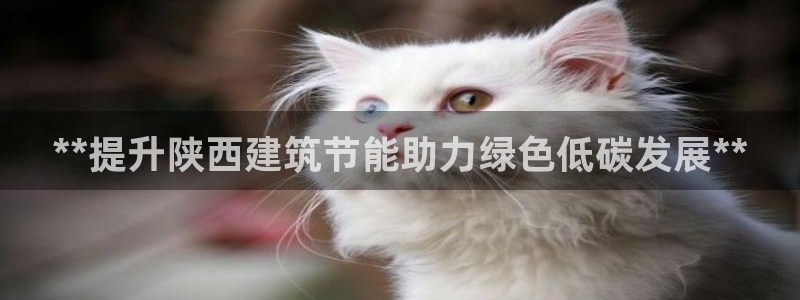 e尊国际地址：**提升陕西建筑节能助力绿色低碳发展**
