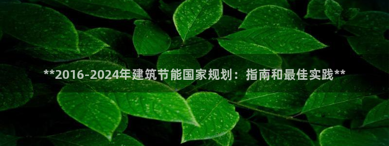 e尊国际可靠吗：**2016-2024年建筑节能国家规划：指南和最佳实践**
