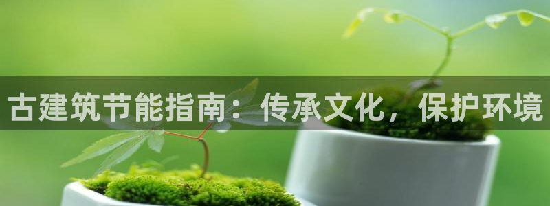 谁知道e尊国际的网址：古建筑节能指南：传承文化，保护环境