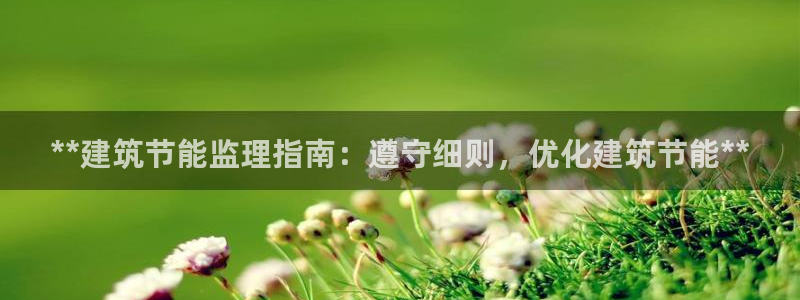 e尊国际娱乐官网地址：**建筑节能监理指南：遵守细则，优化建筑节能**