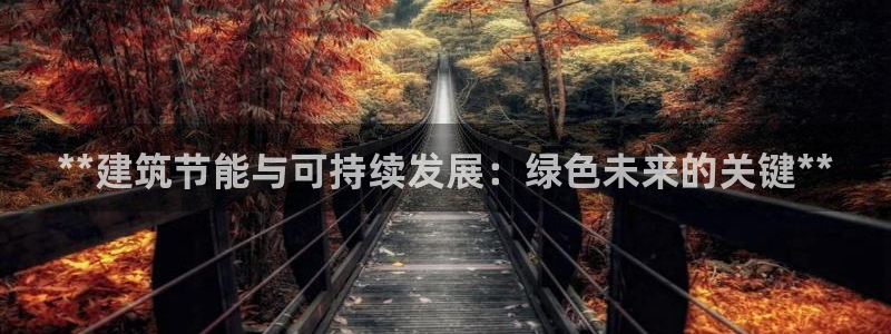 E尊国际：**建筑节能与可持续发展：绿色未来的关键**