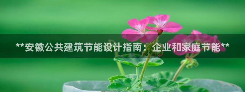 e尊国际app：**安徽公共建筑节能设计指南：企业和家庭节能**