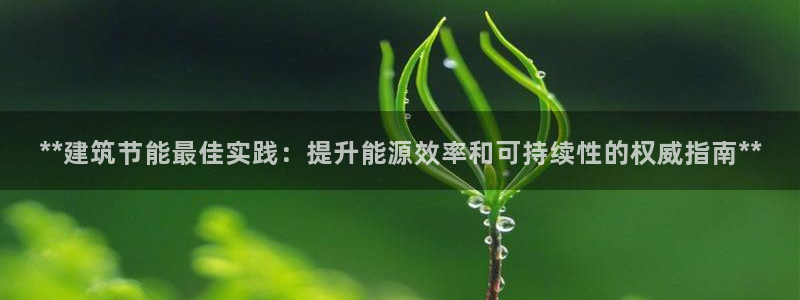 e尊国际的手机登录网站：**建筑节能最佳实践：提升能源效率和可持续性的权威指南**