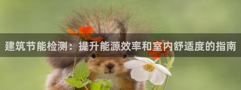 e尊国际地址：建筑节能检测：提升能源效率和室内舒适度的指南