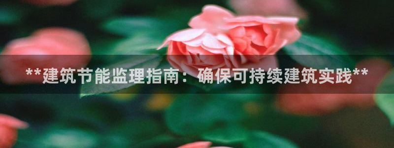 e尊国际平台：**建筑节能监理指南：确保可持续建筑实践**