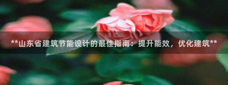 e尊国际app：**山东省建筑节能设计的最佳指南：提升能效，优化建筑**