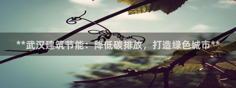 e尊国际7779：**武汉建筑节能：降低碳排放，打造绿色城市**