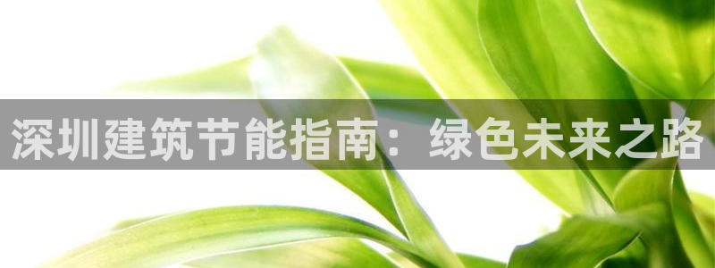 e尊国际是干什么的：深圳建筑节能指南：绿色未来之路