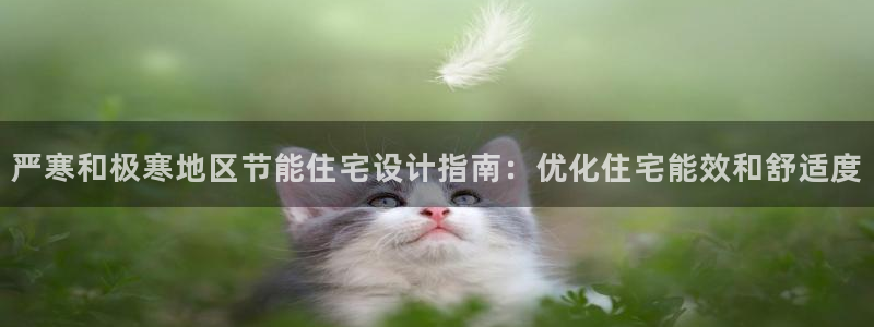 e尊官网：严寒和极寒地区节能住宅设计指南：优化住宅能效和舒适度