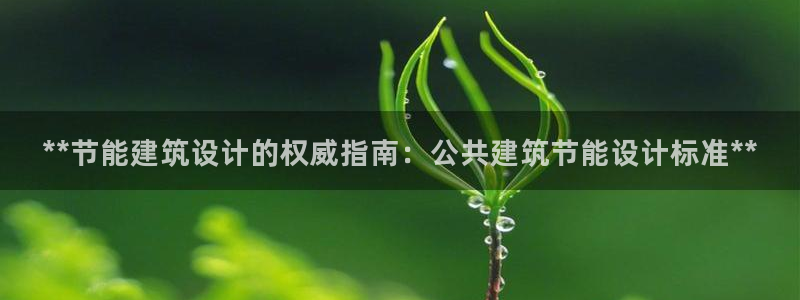 e尊国际可靠吗：**节能建筑设计的权威指南：公共建筑节能设计标准**