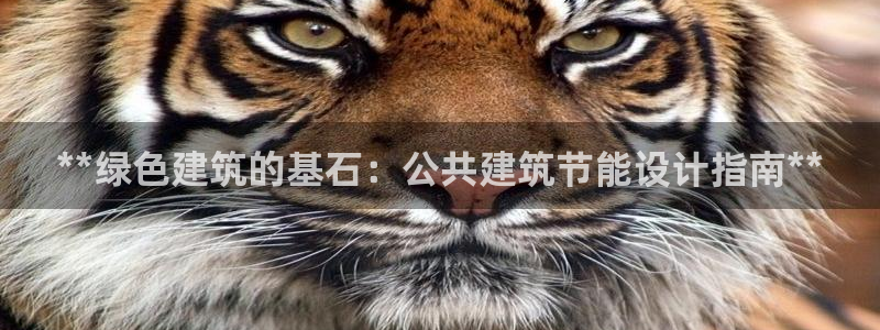e尊国际娱乐官网下载：**绿色建筑的基石：公共建筑节能设计指南**