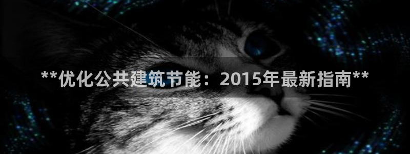 e尊国际客服：**优化公共建筑节能：2015年最新指南**