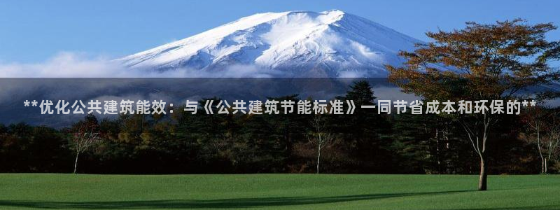 e尊国际的手机登录网站：**优化公共建筑能效：与《公共建筑节能标准》一同节省成本和环保的**