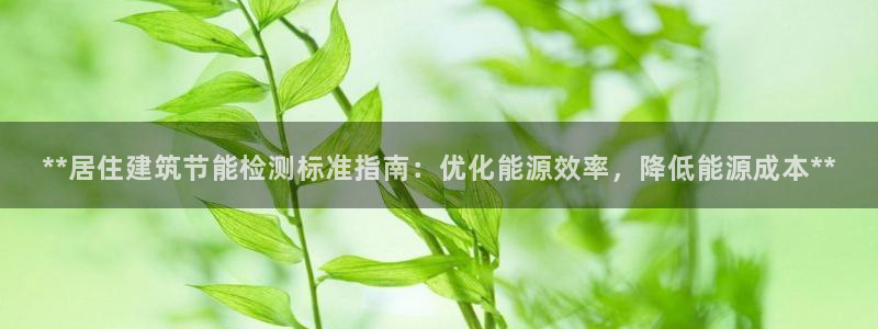 e尊国际官方网站：**居住建筑节能检测标准指南：优化能源效率，降低能源成本**