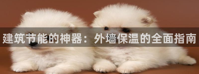 e尊国际app：建筑节能的神器：外墙保温的全面指南