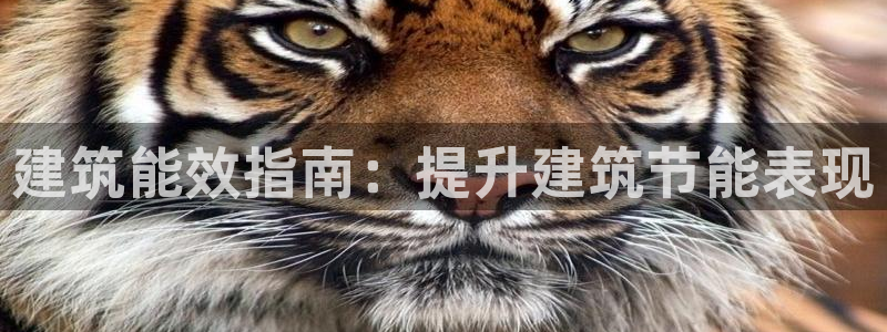 e尊国际客户端下载：建筑能效指南：提升建筑节能表现