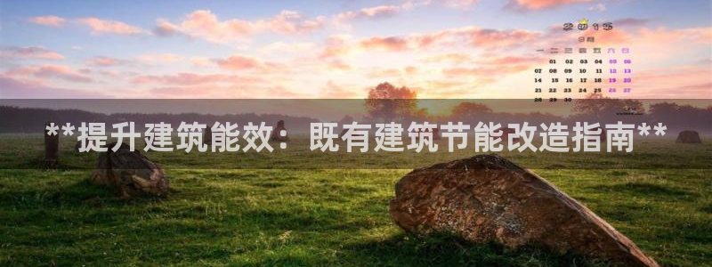 e尊国际是个黑网：**提升建筑能效：既有建筑节能改造指南**
