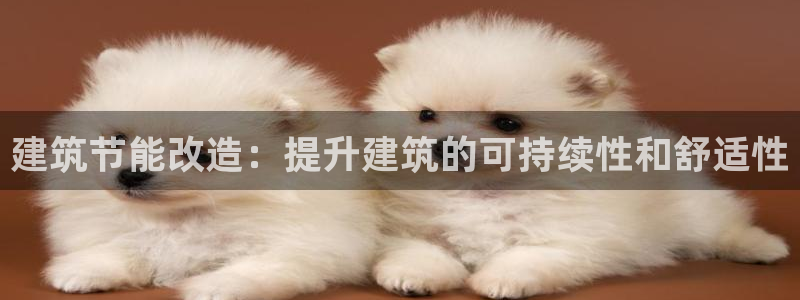 e尊国际地址：建筑节能改造：提升建筑的可持续性和舒适性