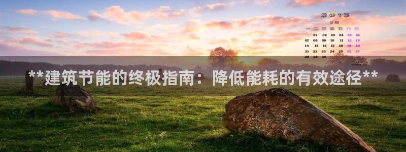e尊国际-可可计划：**建筑节能的终极指南：降低能耗的有效途径**