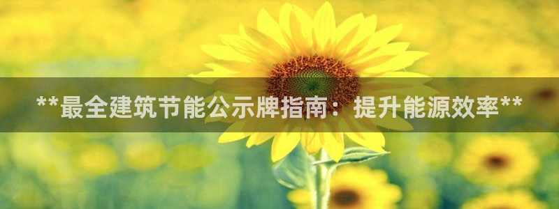 e尊国际平台：**最全建筑节能公示牌指南：提升能源效率**
