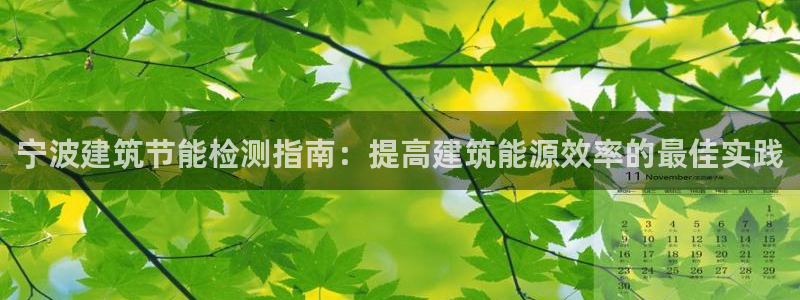 e尊国际是个黑网：宁波建筑节能检测指南：提高建筑能源效率的最佳实践