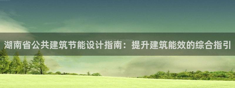 e尊国际网址：湖南省公共建筑节能设计指南：提升建筑能效的综合指引