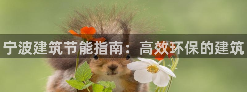 e尊体育：宁波建筑节能指南：高效环保的建筑