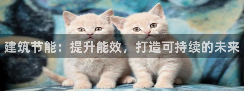 e尊国际娱乐官网下载：建筑节能：提升能效，打造可持续的未来