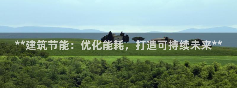 e尊国际是干什么的：**建筑节能：优化能耗，打造可持续未来**