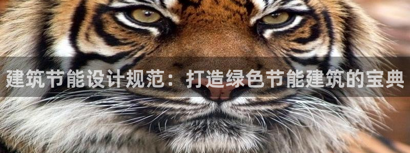 e尊国际的手机登录网站：建筑节能设计规范：打造绿色节能建筑的宝典